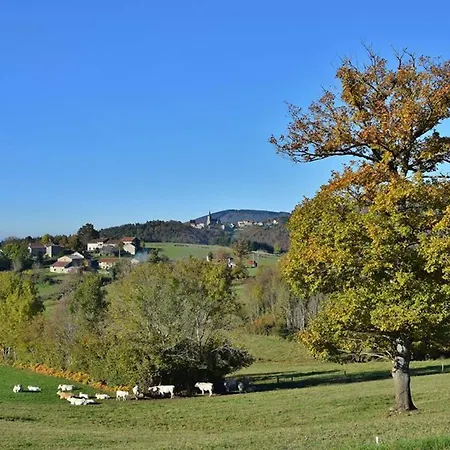 Pour 14 Pers A Avec Wifi Et Animaux Admis - Fr-1-489-340 La Chabanne