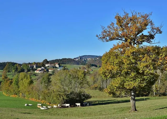 Pour 14 Pers A Avec Wifi Et Animaux Admis - Fr-1-489-340 La Chabanne