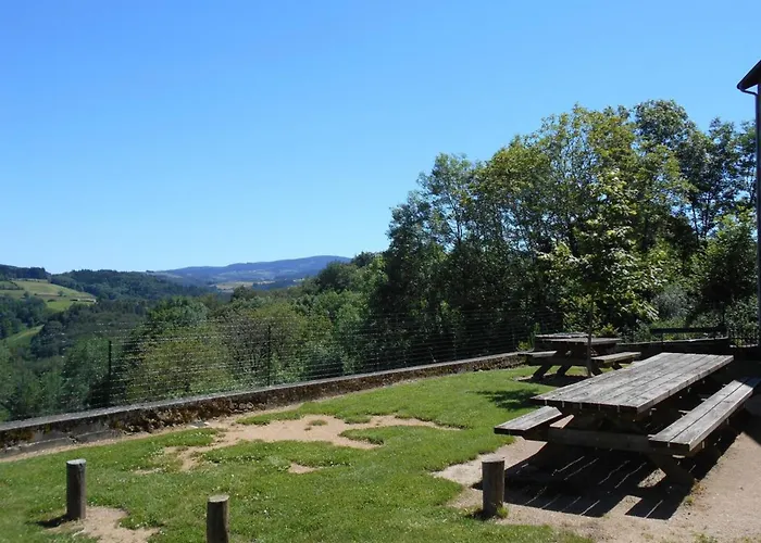 Pour 14 Pers A Avec Wifi Et Animaux Admis - Fr-1-489-340 Holiday home *